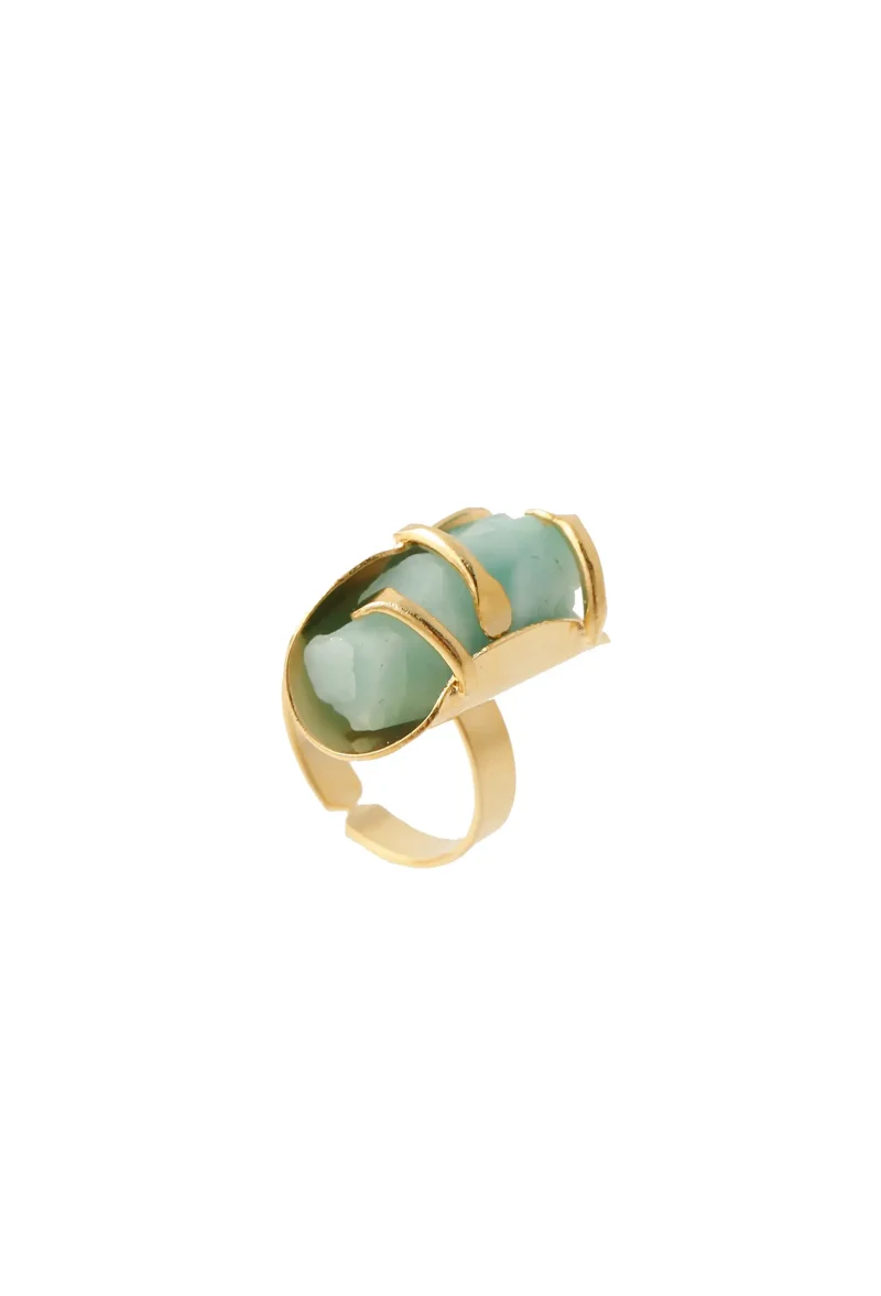 Anillo vigor