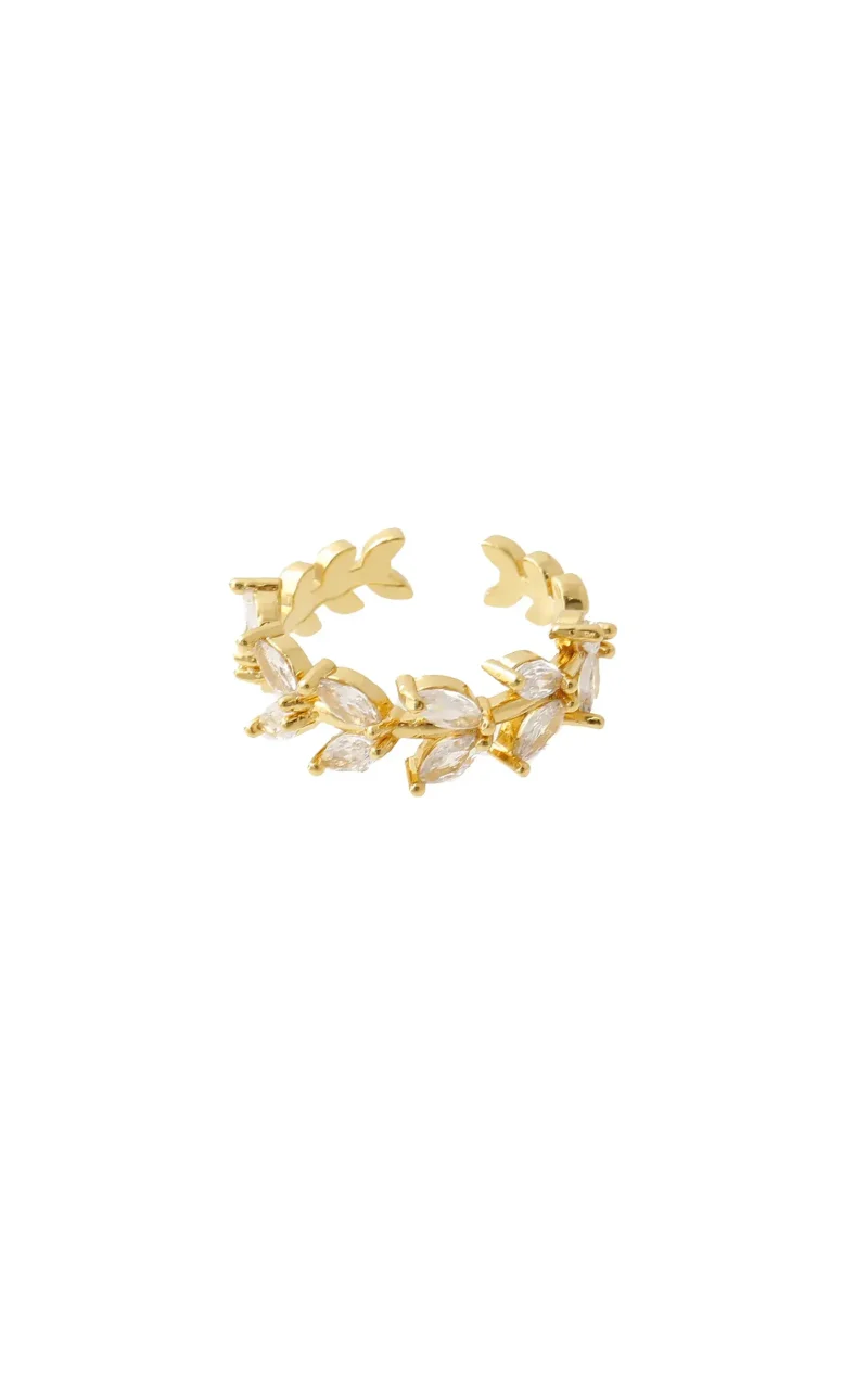 Anillo, en baño de oro 24k marca Brazz by Roel